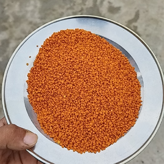 茶花粉