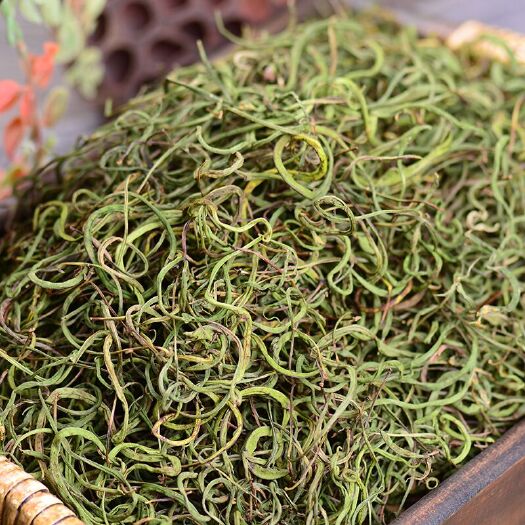 亳州化石草