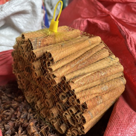 玉林精品10 C M烟桂