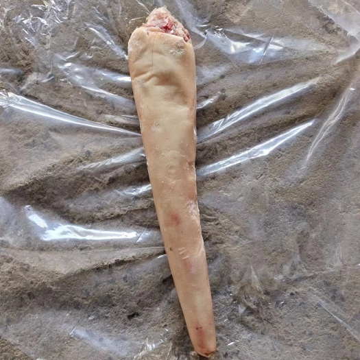 郑州牛尾，带皮牛尾，个大均匀，实拍质量看得见，一手货源，价优。