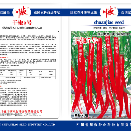 富顺县干椒五号 辣椒种子
