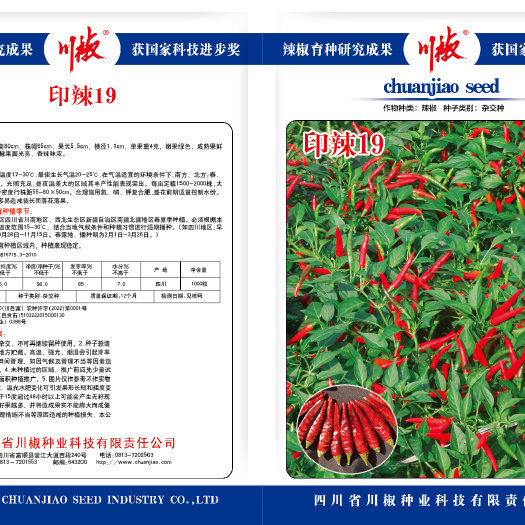 富顺县印辣19 辣椒种子