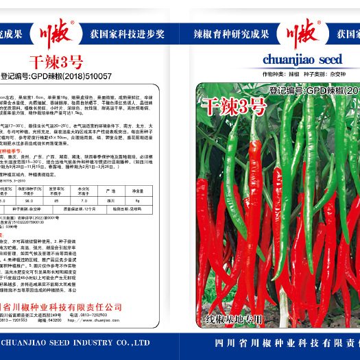 富顺县干辣3号  辣椒种子