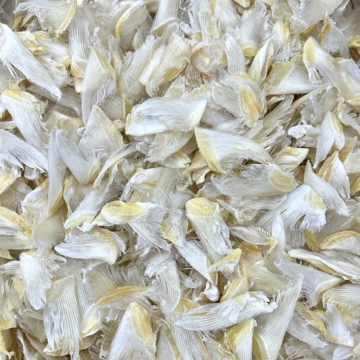 广州鱼翅直销白婵片滑沙翅鱼翅仔海味干货