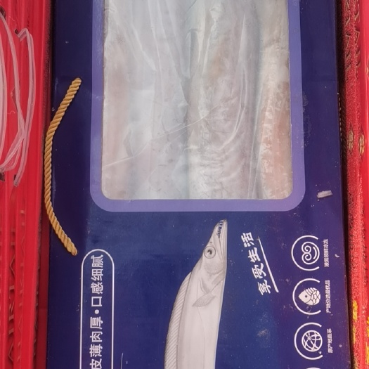 舟山带鱼