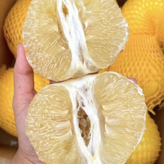 平和县黄金葡萄柚，可一件代发，整车发，落地配，专车物流，需要的联系