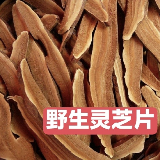 樟树市【包邮】长白山灵芝 灵芝切片 灵芝 赤灵芝 黑灵芝紫灵芝
