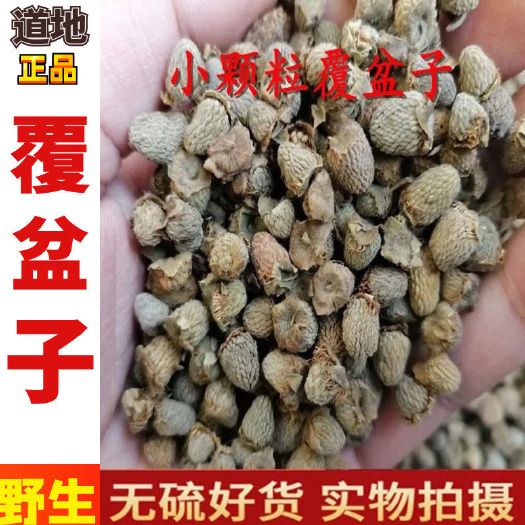 樟树市【包邮】中药材覆盆子小覆盘子干果悬钩子复盆子干货 浙江覆盆子