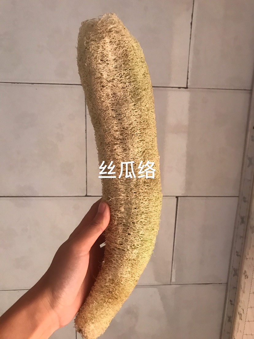 中药材～丝瓜络  天然农家自种 今年当季新货 实拍图片～