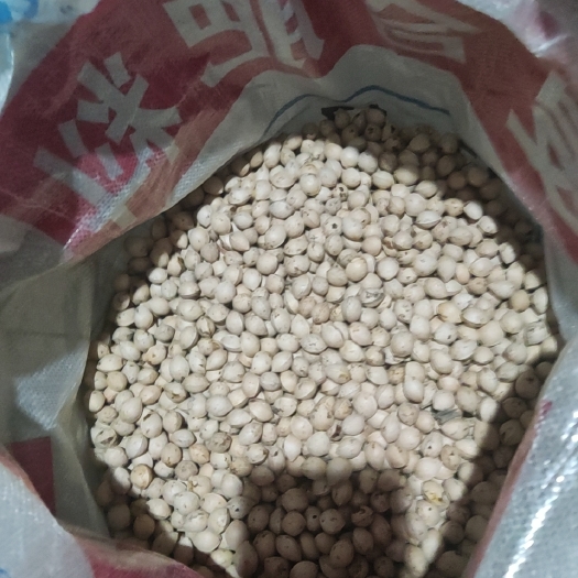 白果，银杏果