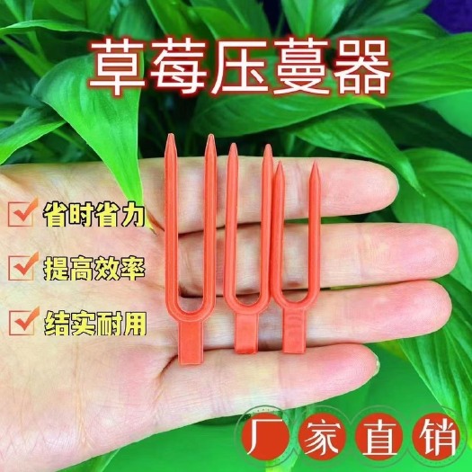 草莓叉子草莓育苗压蔓器压苗叉藤植物固定器 压蔓生根西瓜叉甜瓜