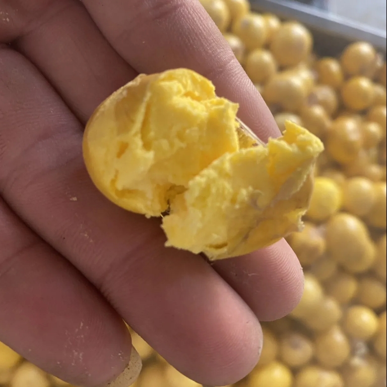 新鲜鸡蛋蛋黄喂牛羊鸡鸭鹅喂狗猫鸟美毛亮毛补钙卵饲料
