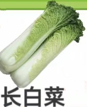 晋中青麻叶大白菜