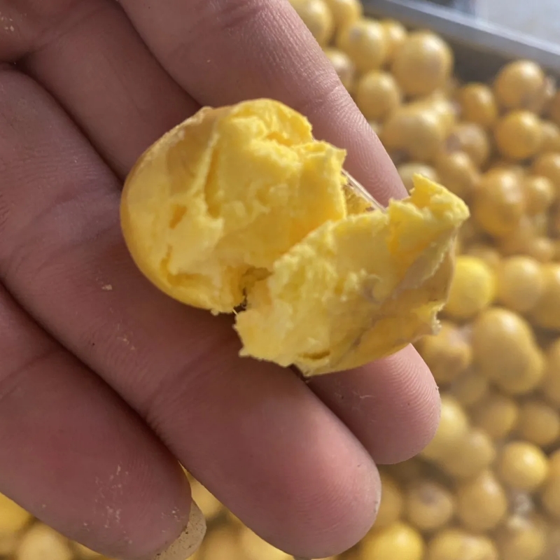 新鲜鸡蛋蛋黄喂牛羊鸡鸭鹅喂狗猫鸟美毛亮毛补钙卵饲料