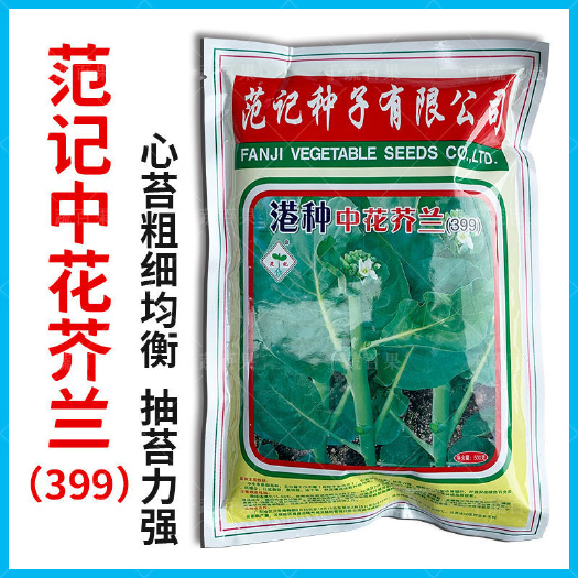 深圳范记中花芥兰菜种籽399港种广东芥蓝种子大田秋冬季蔬菜种