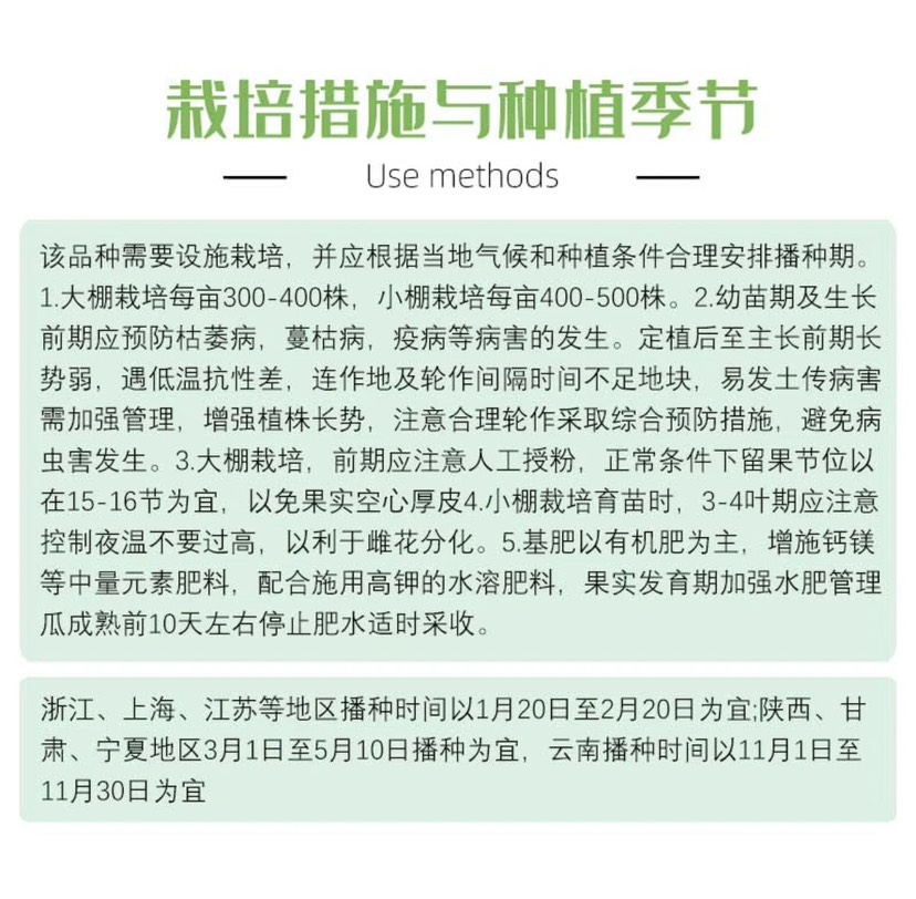 嘉禾双喜美都西瓜苗 嫁接苗 穴盘苗易管理商品性强