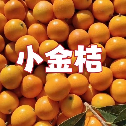 金桔
