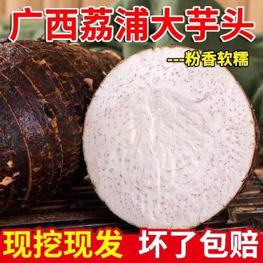 【现挖现发】广西荔浦新鲜大芋头粉香芋蔬菜批发