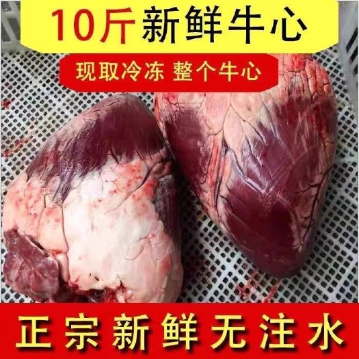 兴县牛心黄牛生牛心纯散养黄牛生牛心黄牛心肉牛杂内脏火锅烧烤食材