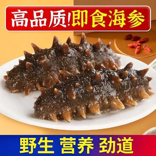 连云港【冷蒸海参】大连即食海参鲜食海参礼盒装辽参野生刺参商用批发