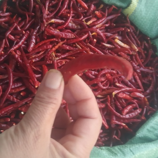 云南彌渡干香辣椒原產(chǎn)地批發(fā)歡迎新老客戶聯(lián)系