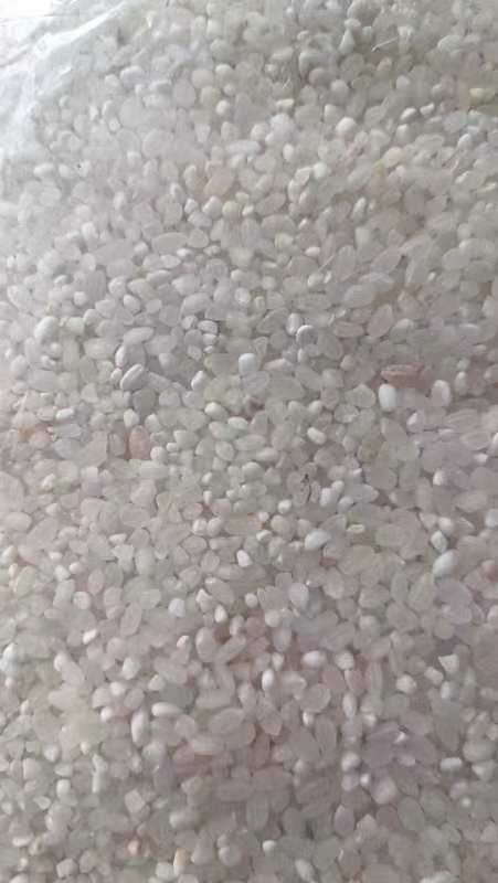 哈尔滨长粒香米 珍珠米 普碎 大碎 小碎 食用级
