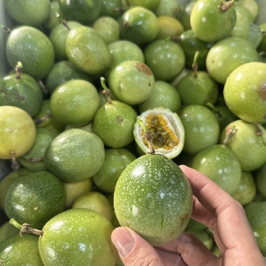 长沙钦蜜九号百香果