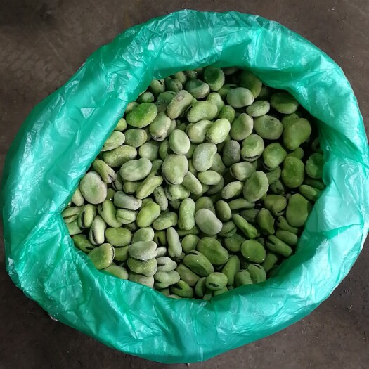 东台市速冻蚕豆，绿色蔬菜，如东大蚕豆