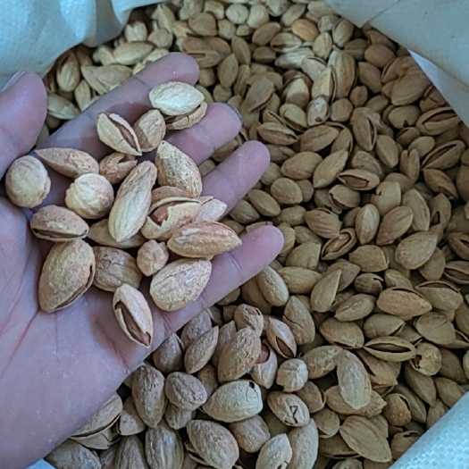 疏附县原味巴旦木