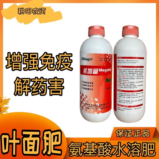 佛山美加富意大利瓦拉格罗多肽氨基酸海藻水溶叶面肥葡萄果树农用