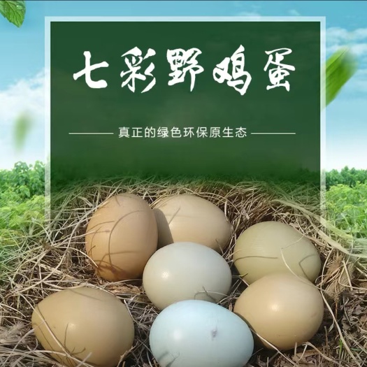 商河县七彩山鸡蛋中码蛋，现捡新鲜发货