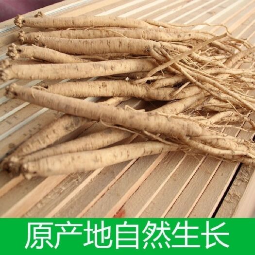 陇南甘肃湿党参新鲜现挖鲜党参挑选大党参包邮无硫鲜党参产地直发