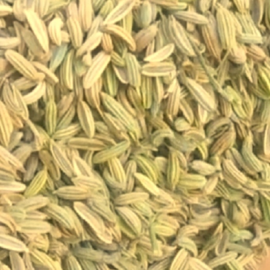 玉门市甘肃酒泉优质小茴香