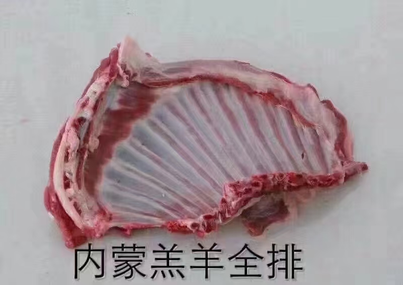 锡林浩特【羔羊排】当地草原羊的羔羊全排整扇的，新鲜速冻！5到9片均有
