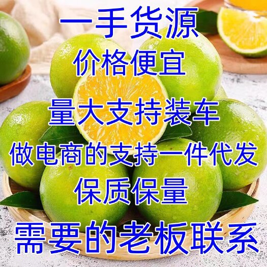 麻阳县超甜冰糖橙 品质保证 供商超 支持一件代发
