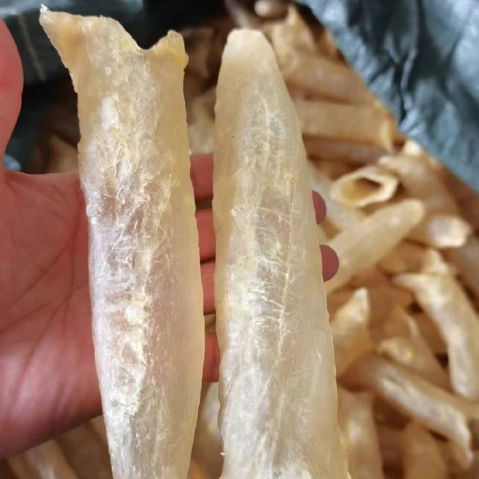 广州巴沙筒胶 满满的胶原蛋白