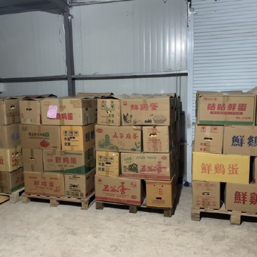 建德市新鲜粉蛋