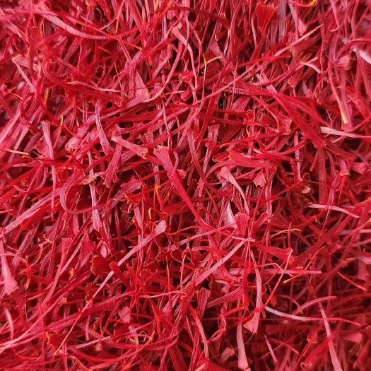 昆明伊朗藏红花