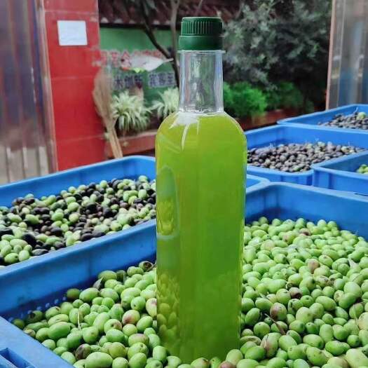 陇南橄榄油