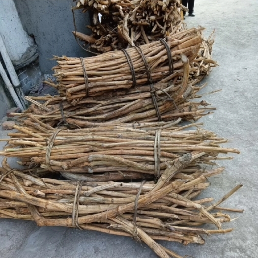 峨边县木通  需要木通藤的联系我    可大量提供