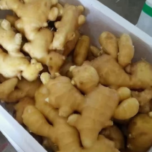 沂水县面姜