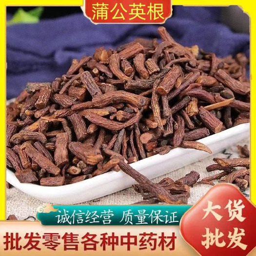 亳州中药材蒲公英根 现货批发蒲公英茶散装 蒲公英根产地直销量大