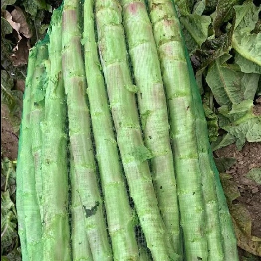 郯城县莴笋杆子，大量供应，价格便宜，不空心