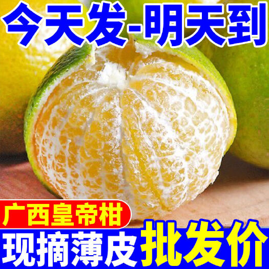 皇帝柑新鲜现摘薄皮橘子贡柑甜多汁桔子应季水果10斤批发