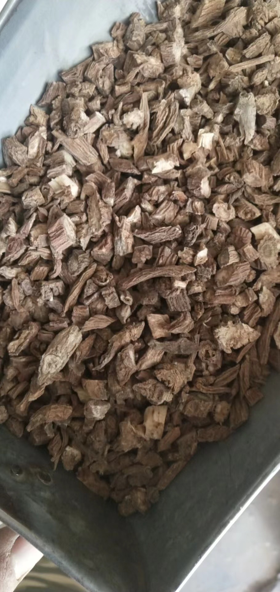 续断 优质中药材川断产地批发