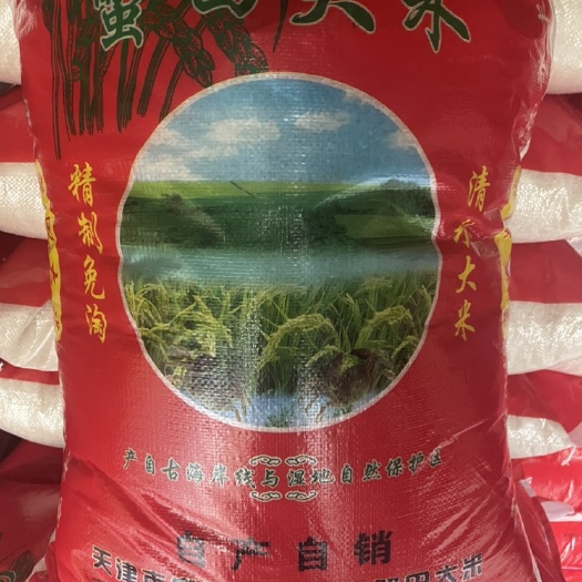 天津天津宁河七里海稻田大米