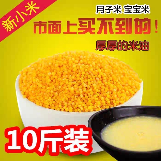 五常市黄小米小米粥黑小米五谷杂粮农家食用新小米批发