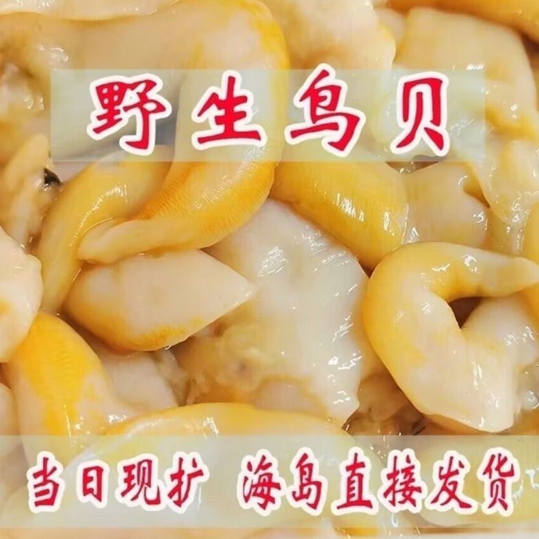 连云港【现捕现剥】新鲜速冻无沙黄鸟贝肉去壳金钩鸟贝雀螺肉海鲜批