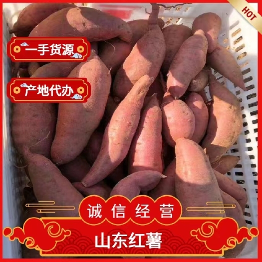 红薯大量上市了，西瓜红，济薯，烟薯，紫薯，香港红，苏八等