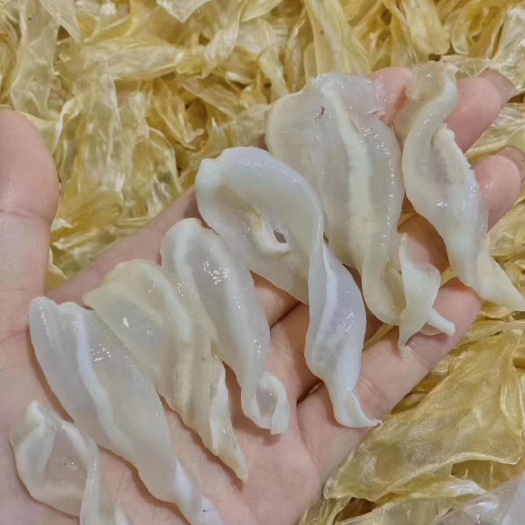 广州清水小竹叶胶，个头虽小，但胶质却不少